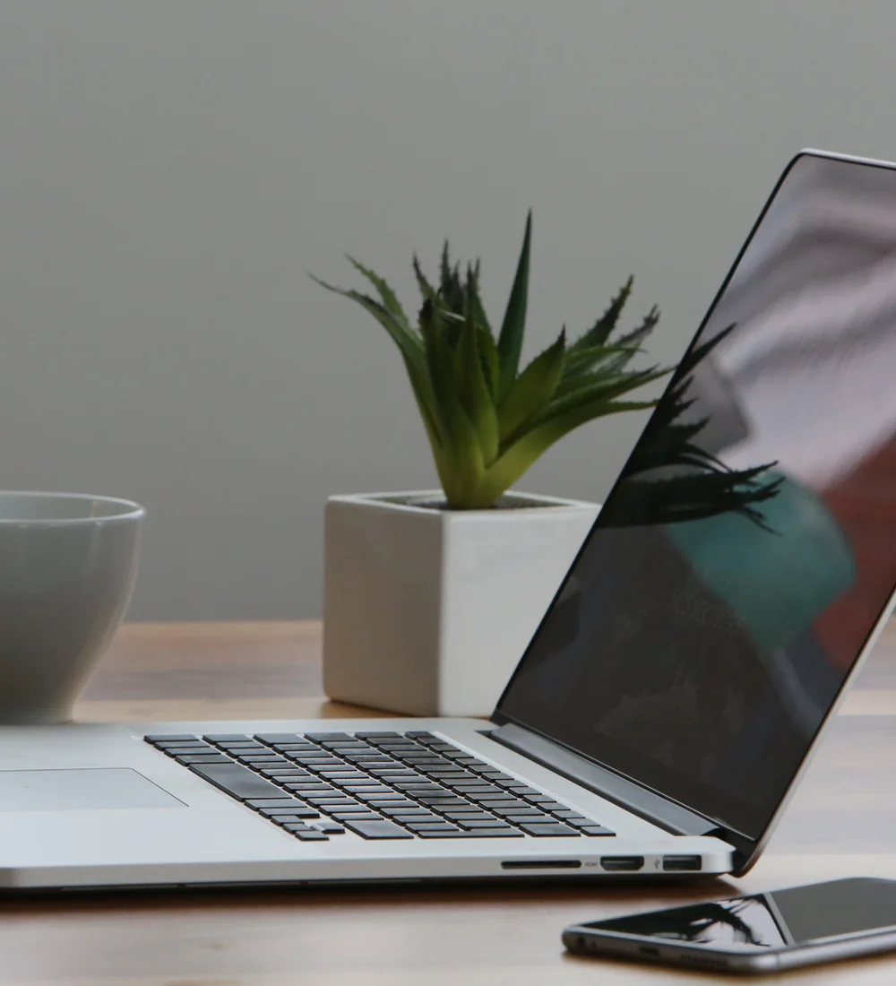 A laptop, coffee cup, and plant on a quiet desk
